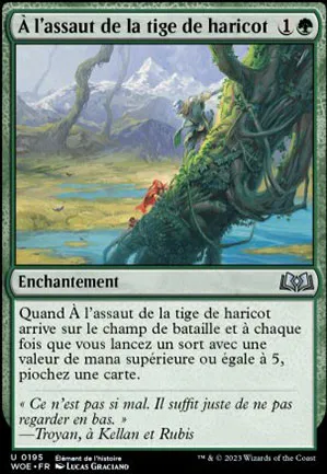 À l’assaut de la tige de haricot