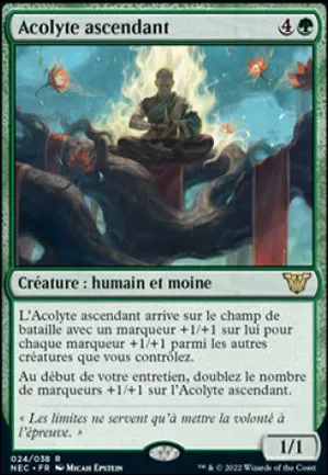 Acolyte ascendant