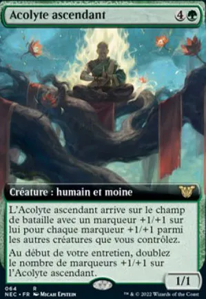 Acolyte ascendant