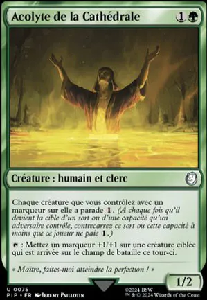 Acolyte de la Cathédrale