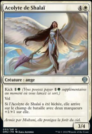 Acolyte de Shalaï