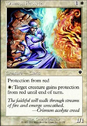 Acolyte pourpre
