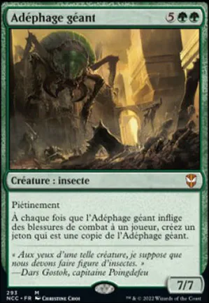 Adéphage géant