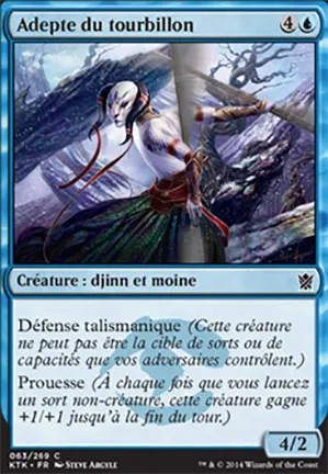 Adepte du tourbillon