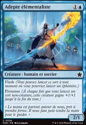 Adepte élémentaliste