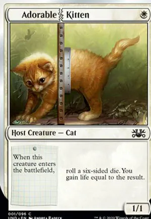 Adorable Kitten