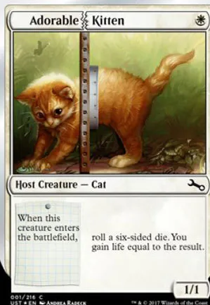 Adorable Kitten