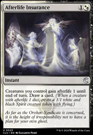 Afterlife Insurance
