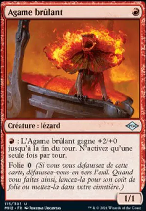 Agame brûlant