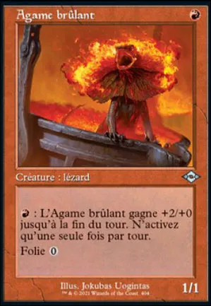 Agame brûlant