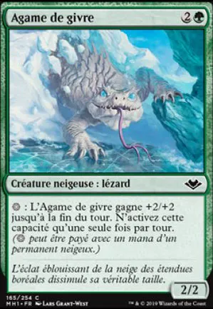 Agame de givre