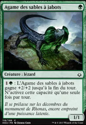 Agame des sables à jabots