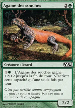 Agame des souches