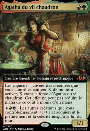 Agatha du vil chaudron