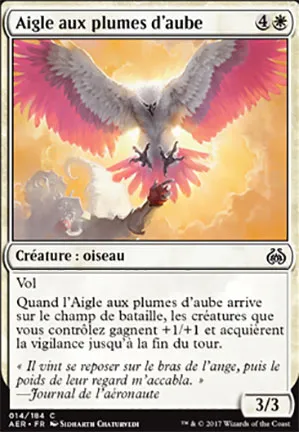 Aigle aux plumes d'aube