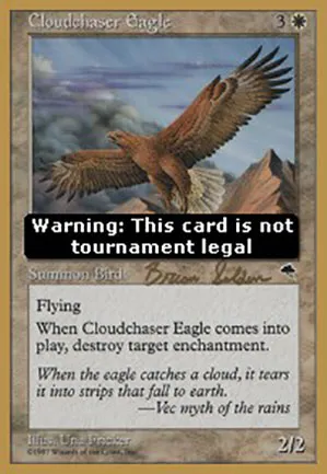 Aigle chasse-nuages