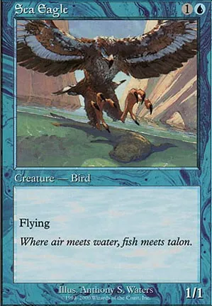 Aigle Marin