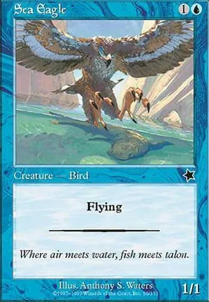 Aigle Marin