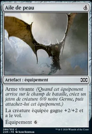 Aile de peau