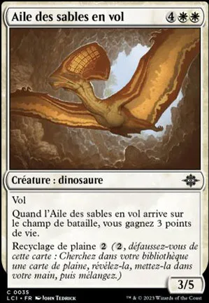 Aile des sables en vol