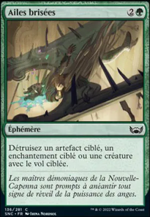 Ailes brisées