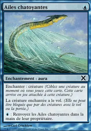 Ailes chatoyantes