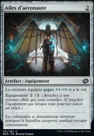 Ailes d'aéronaute