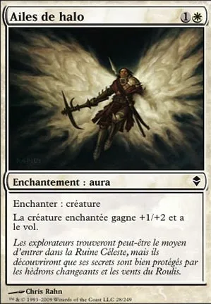 Ailes de halo