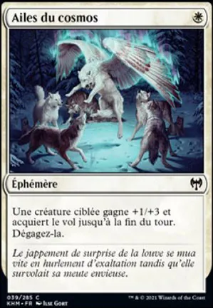 Ailes du cosmos