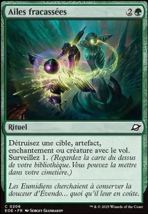 Ailes fracassées