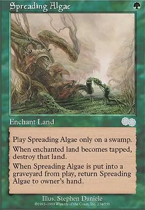 Algue envahissante