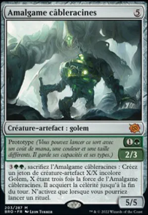 Amalgame câbleracines