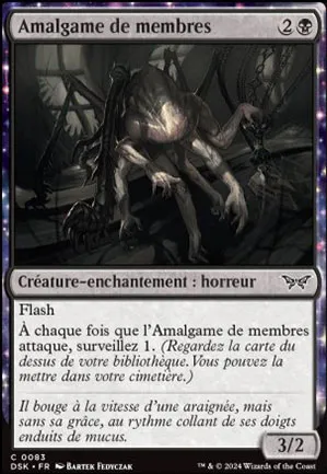 Amalgame de membres