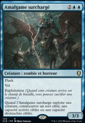 Amalgame surchargé