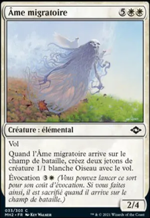 Âme migratoire
