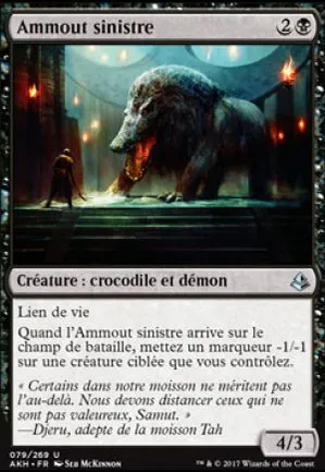 Ammout sinistre