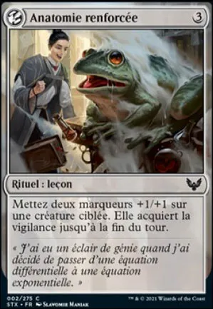 Anatomie renforcée