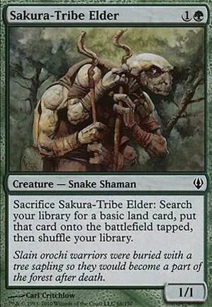 Ancêtre de la tribu Sakura