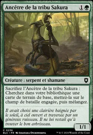 Ancêtre de la tribu Sakura