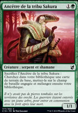 Ancêtre de la tribu Sakura