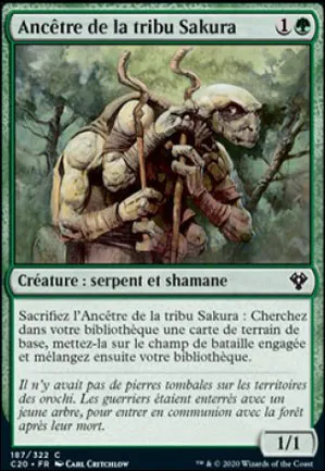 Ancêtre de la tribu Sakura