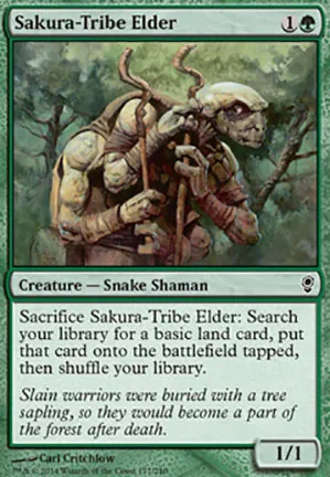 Ancêtre de la tribu Sakura