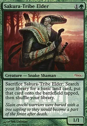 Ancêtre de la tribu Sakura