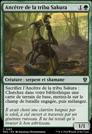 Ancêtre de la tribu Sakura