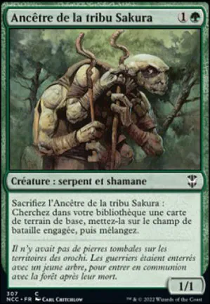 Ancêtre de la tribu Sakura