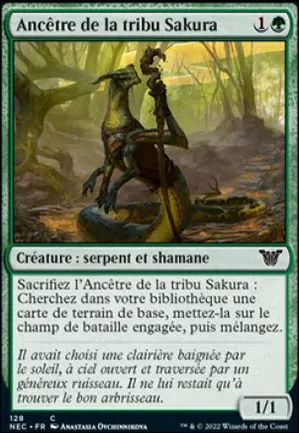 Ancêtre de la tribu Sakura