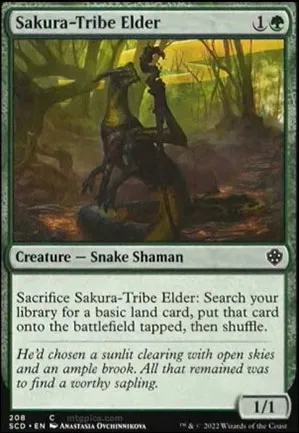 Ancêtre de la tribu Sakura