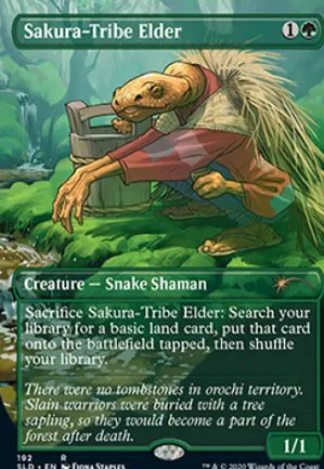 Ancêtre de la tribu Sakura