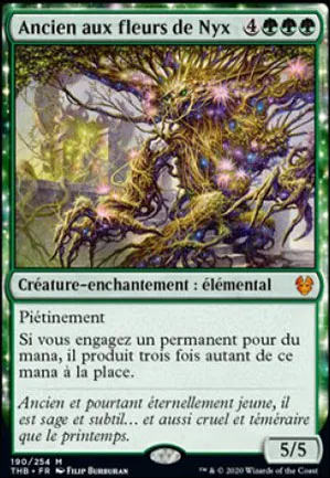 Ancien aux fleurs de Nyx