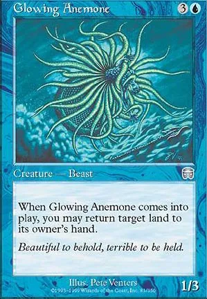 Anémone rayonnante
